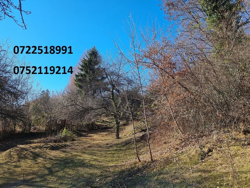 Campulung Muscel, Arges,