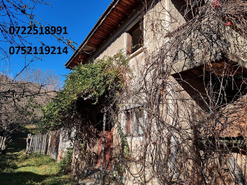 Campulung Muscel, Arges,