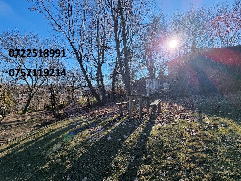 Campulung Muscel, Arges,