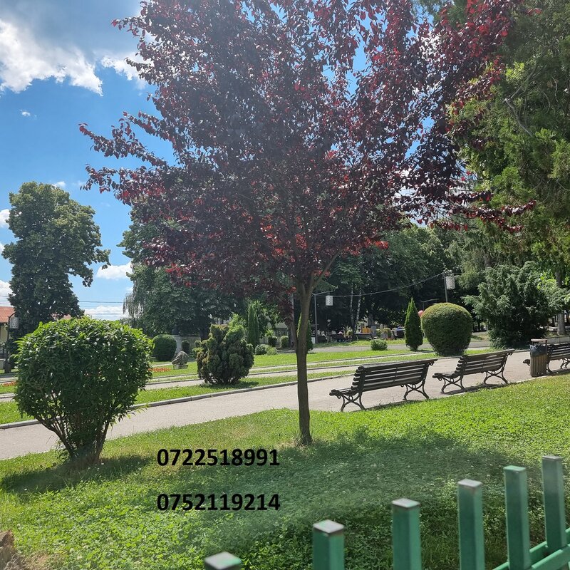 Campulung Muscel, Arges,