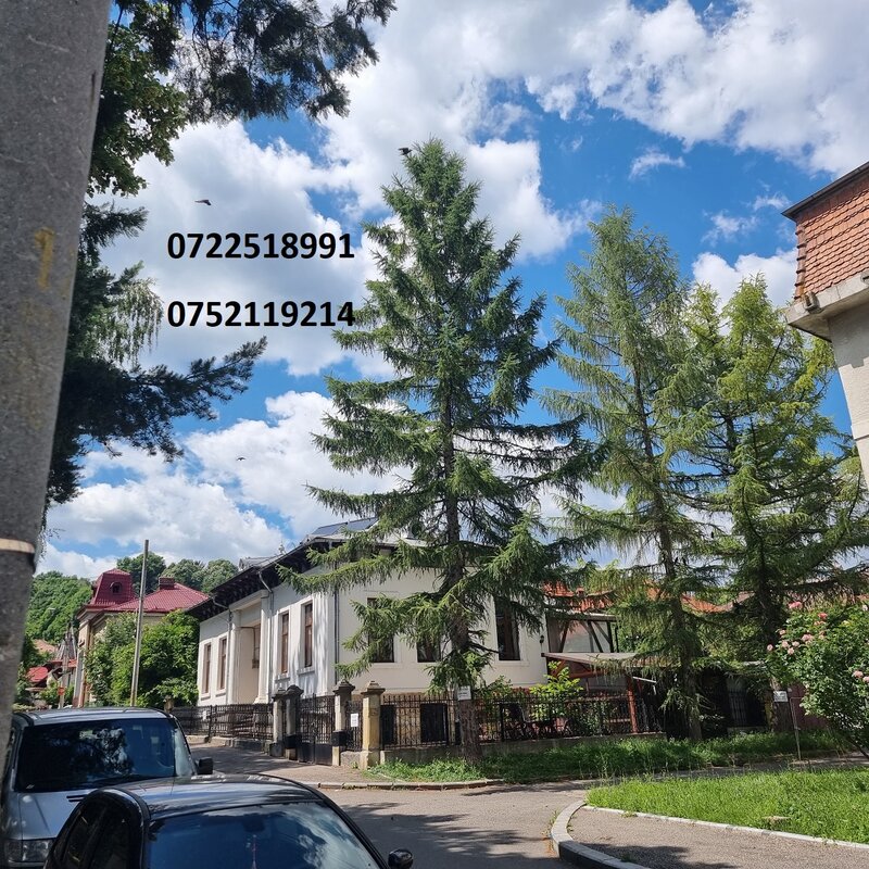 Campulung Muscel, Arges,