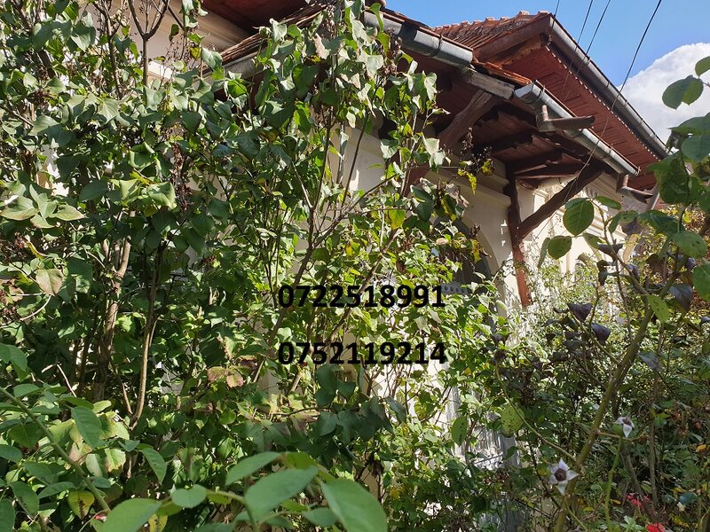 Campulung Muscel, Arges,