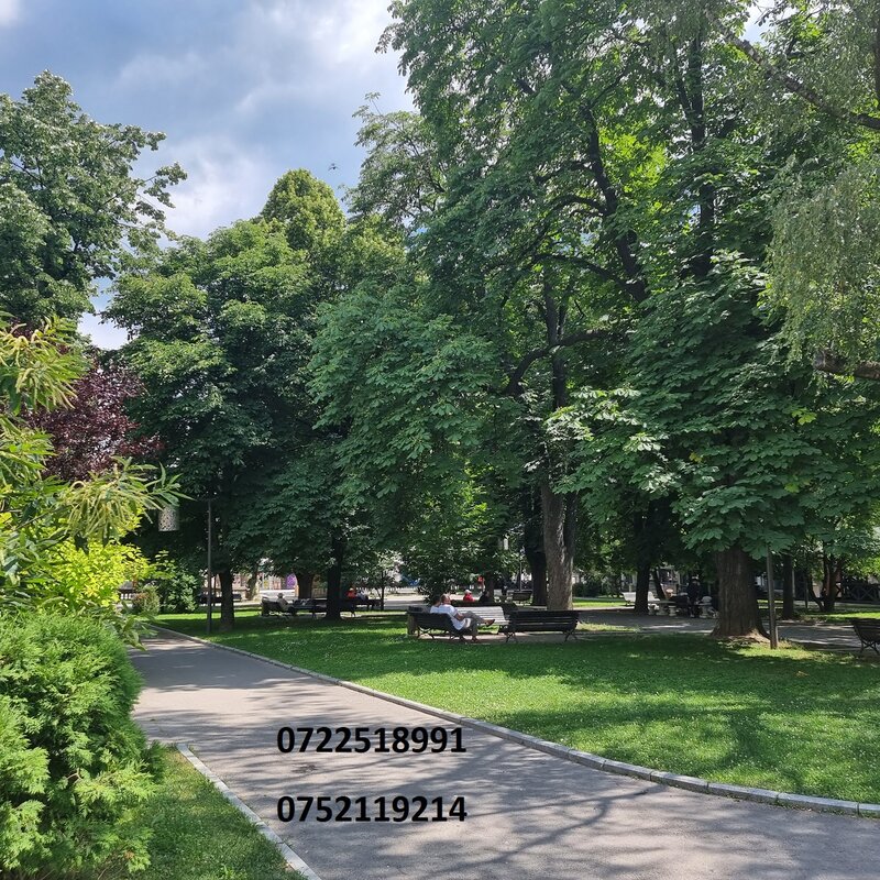 Campulung Muscel, Arges,